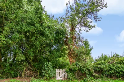 West Winds, County Lane,/Pattingham Lane, Kingswood, Staffordshire, WV7 3AS — photo 19